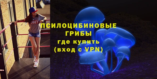 экстази Арсеньев